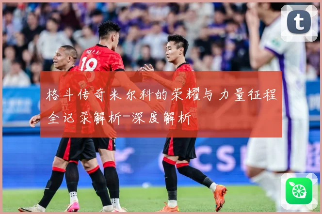 格斗传奇米尔科的荣耀与力量征程全记录解析-深度解析